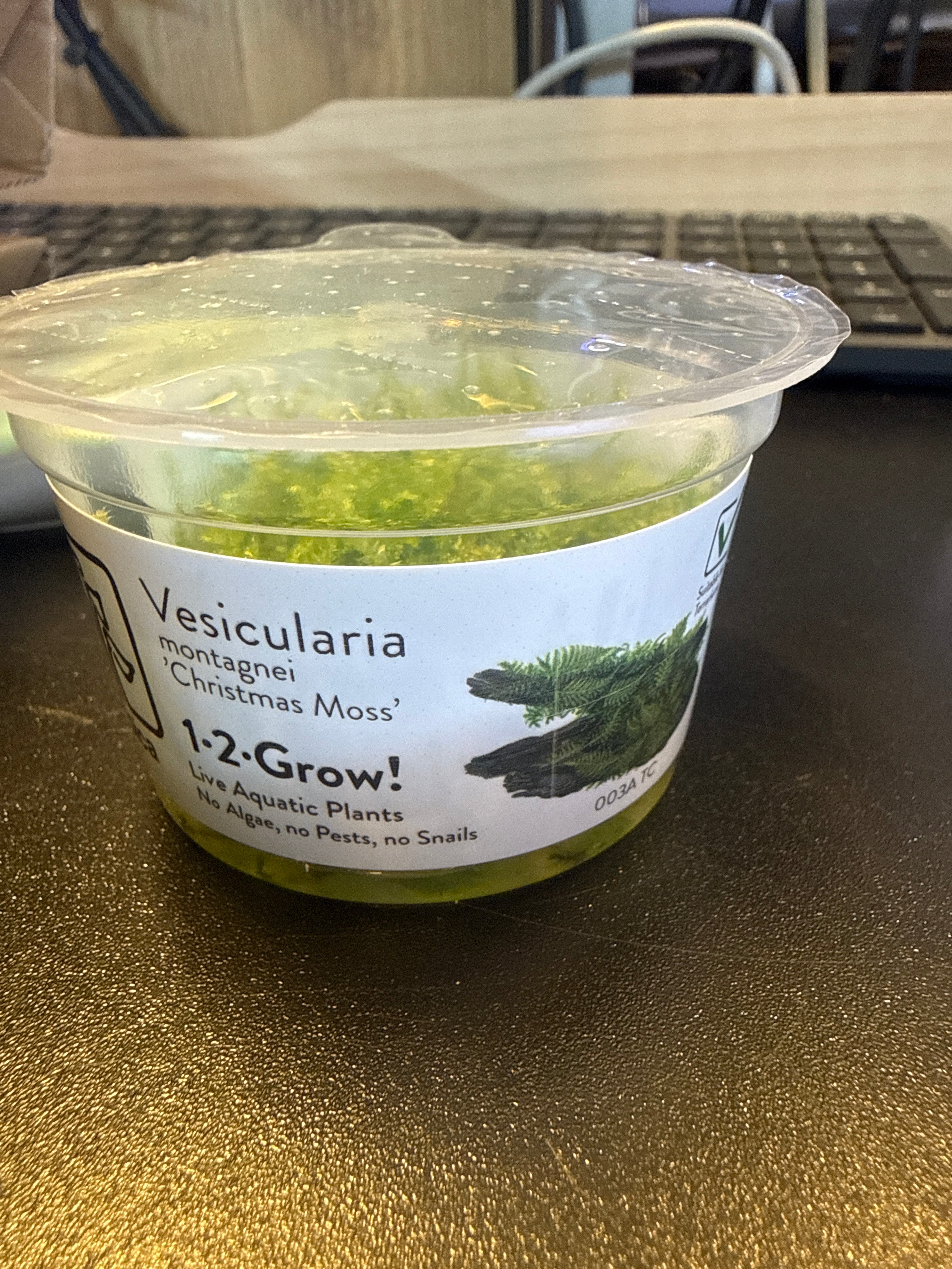 1-2 Grow Vesicularia Montagnei ‘Christmas moss’