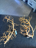 Aquascaping root 35-45 cm
