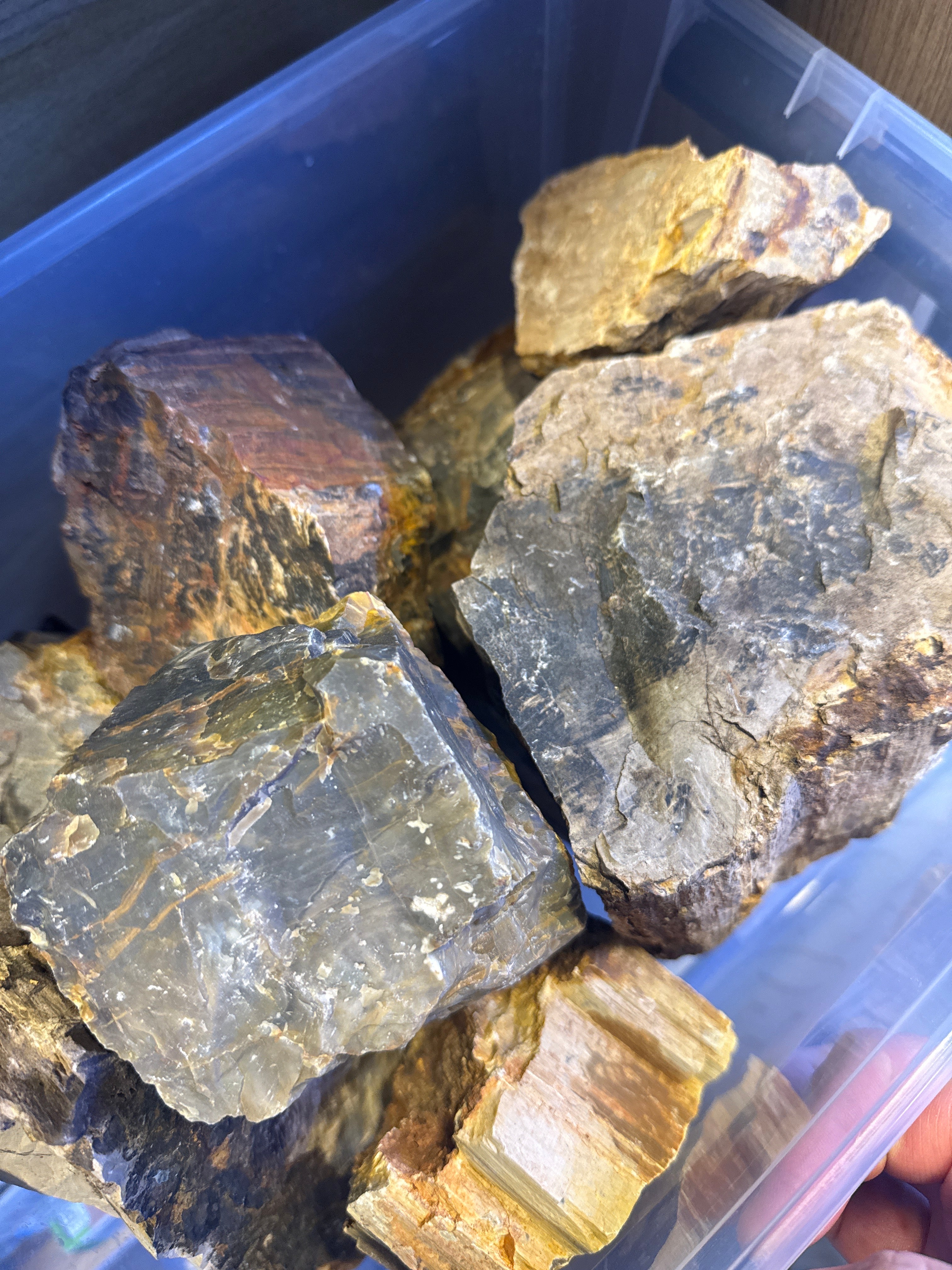 Nature stone Wood Fossil (Kun til salg i butik)