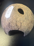 Kokosnød hule