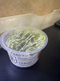 1-2 Grow Rotala Rotundifolia ‘Blood red’