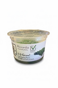 1-2 Grow Ricardia Chamedryfolia